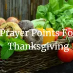 prayer points for thanksgiving