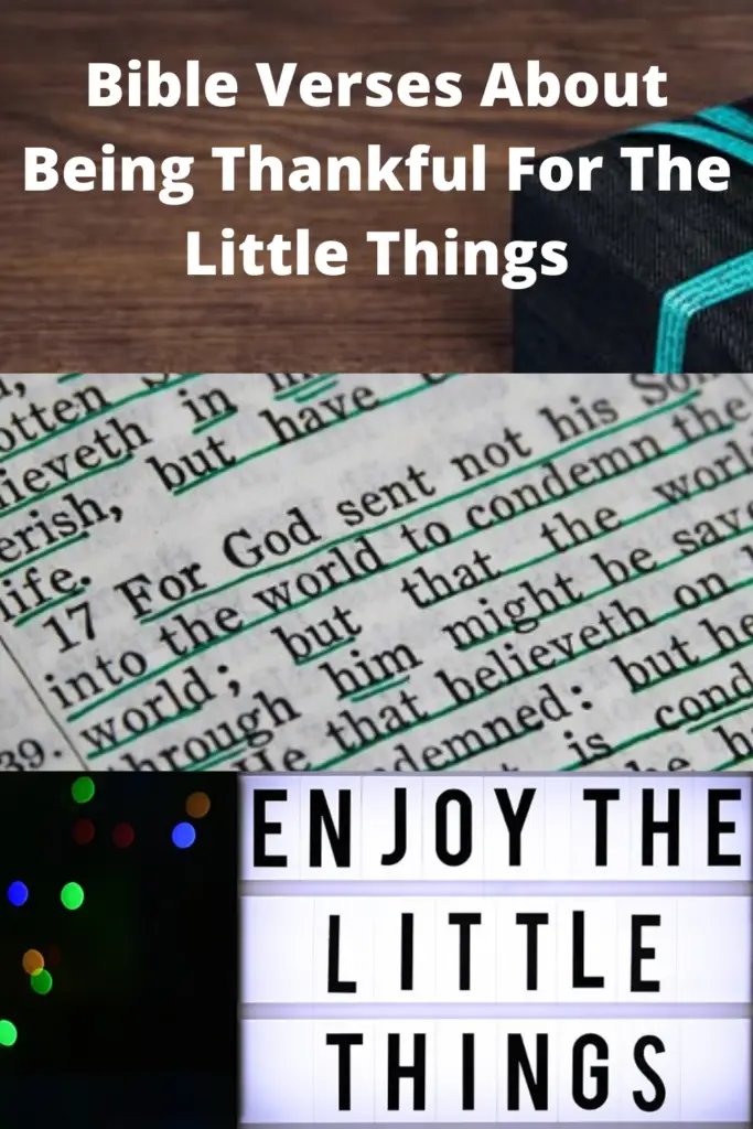 Bible Verses About Being Thankful For The Little Things