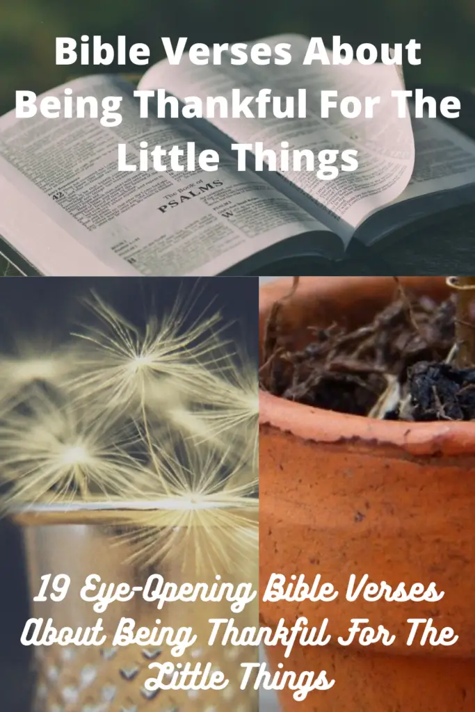Bible Verses About Being Thankful For The Little Things