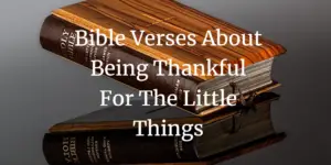 bible verses about being thankful for the little things