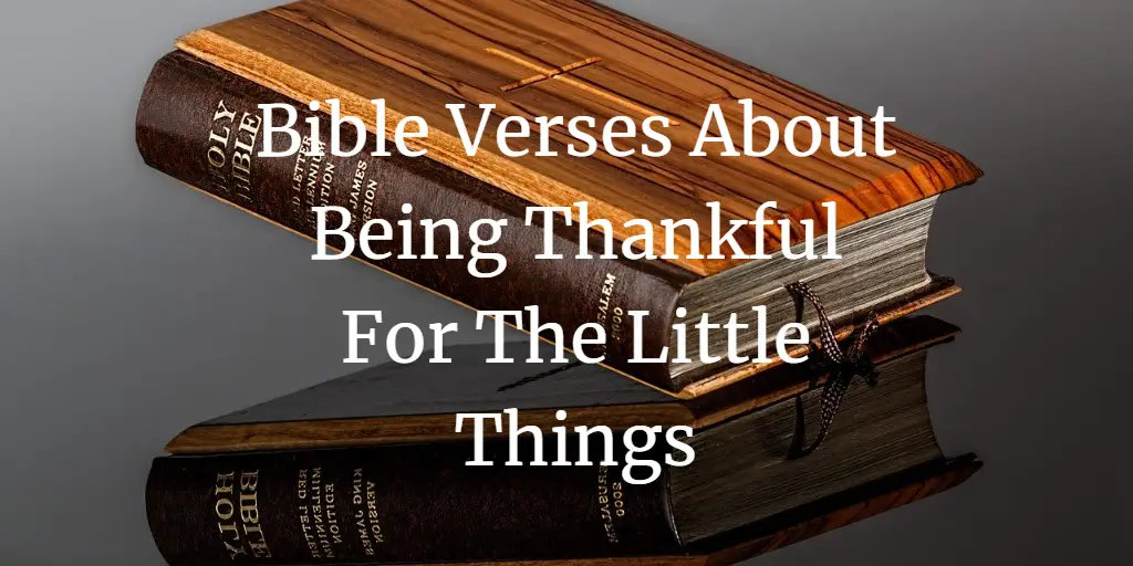 What Does The Bible Say About Being Grateful For The Little Things