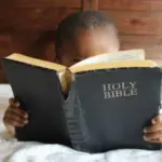 best bibles for new believers