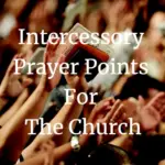 intercessory prayer points for the church
