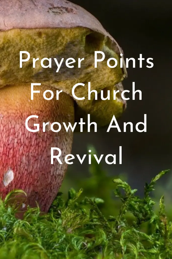 17-strong-prayer-points-for-church-growth-and-revival-faith-victorious