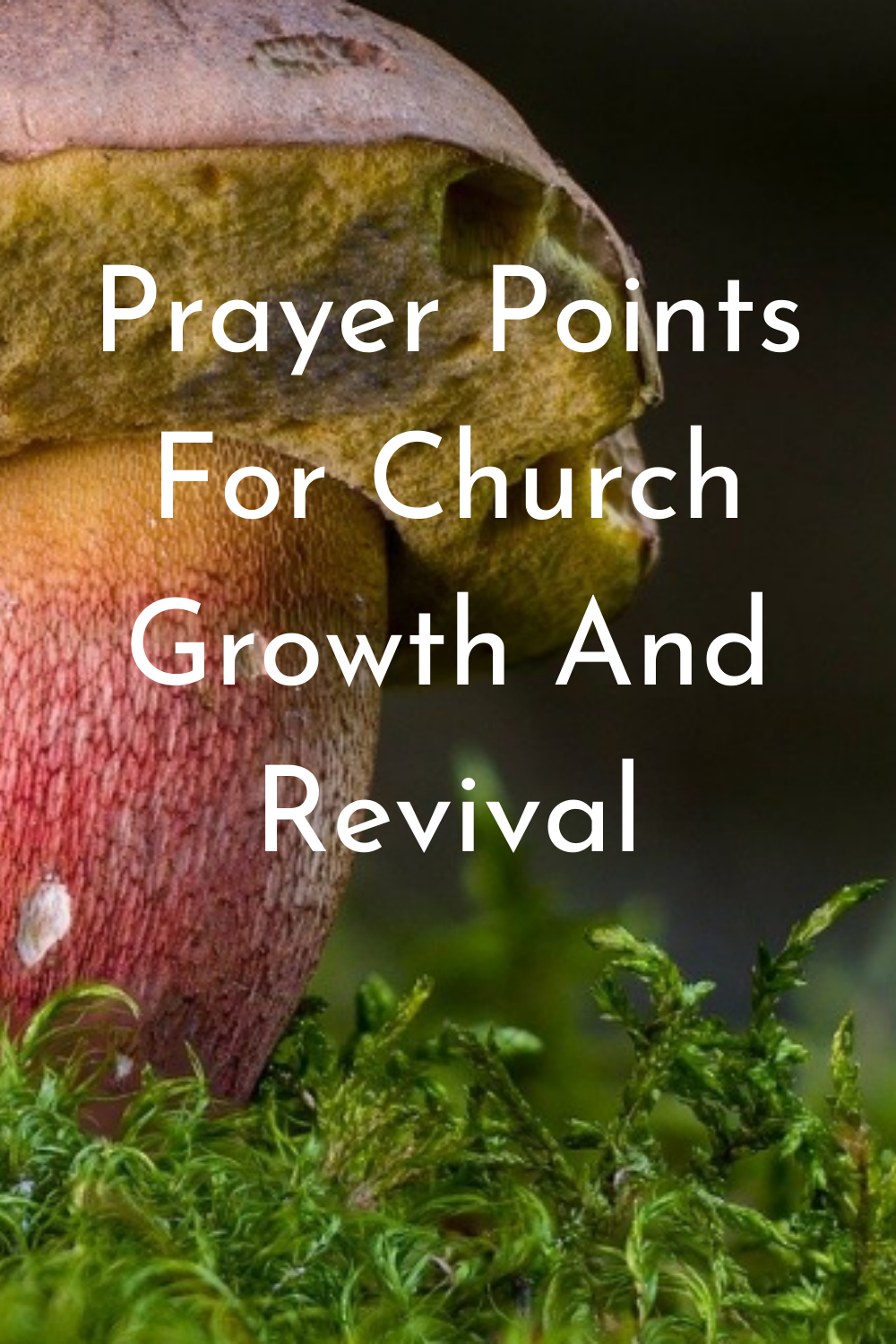 Powerful Prayer Points For Church Growth