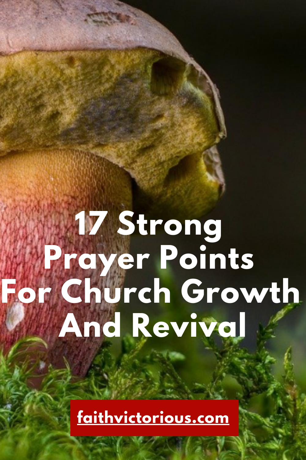 17 Strong Prayer Points For Church Growth And Revival - Faith Victorious