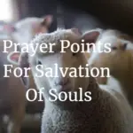 Prayer Points For Salvation of Souls