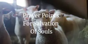 Prayer Points For Salvation of Souls