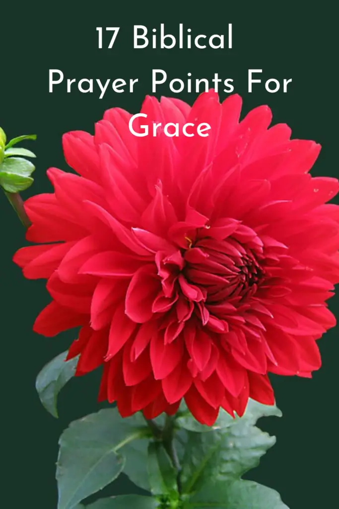 Prayer Points For Grace