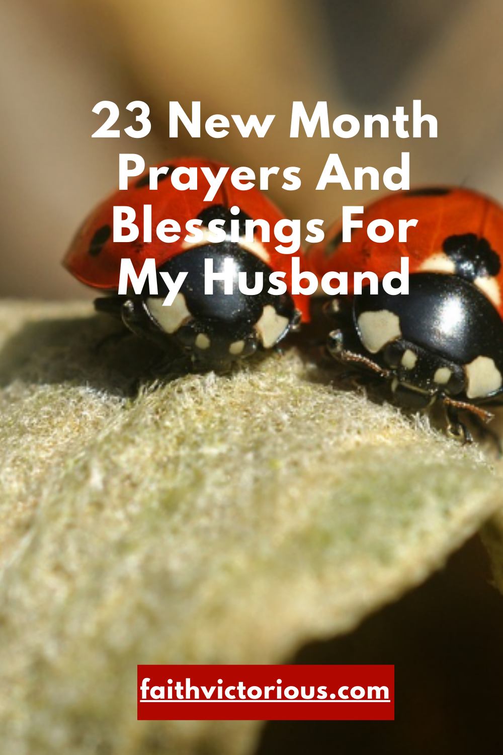 23-new-month-prayers-and-blessings-for-my-husband-faith-victorious