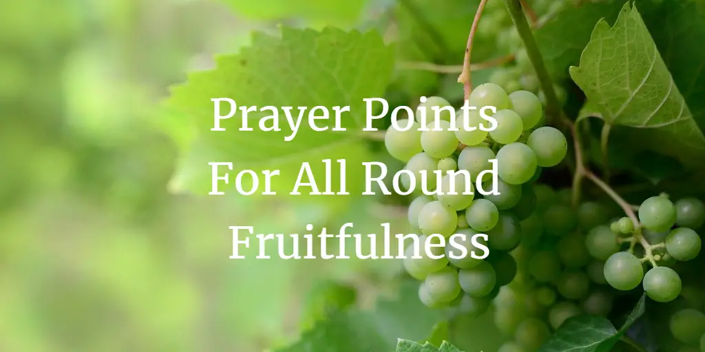 17 Powerful Prayer Points For All Round Fruitfulness