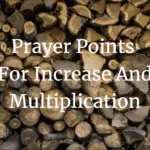 prayer points for increase and multiplication