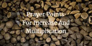 prayer points for increase and multiplication