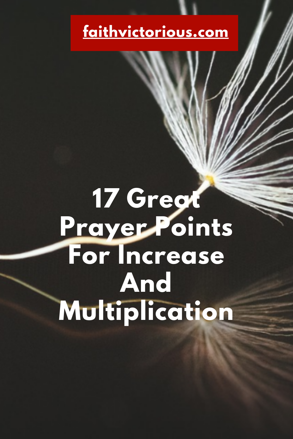 17-great-prayer-points-for-increase-and-multiplication-faith-victorious