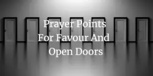 prayer points for favour and open doors