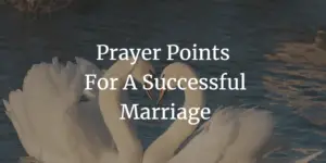 prayer points for a successful marriage