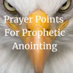 prayer points for prophetic anointing