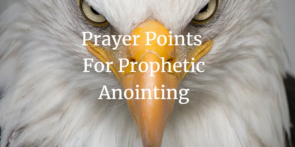 prayer points for prophetic anointing