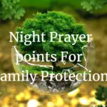 night prayer points for family protection