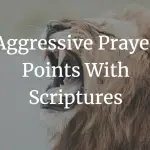 aggressive prayer points with scriptures